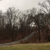 mcaugustine51